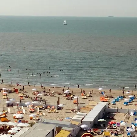 In Blankenbergesal Blankenberge